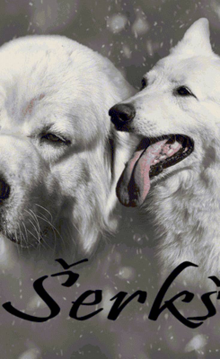 мои собаки 3 - мои, собаки - предпросмотр