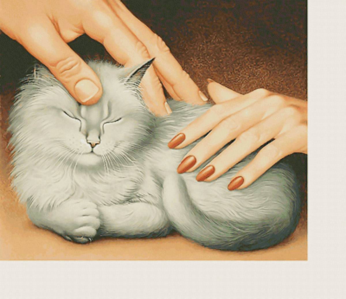 Серия "Коты" - животные, кот - предпросмотр