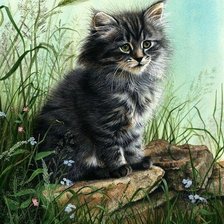 Схема вышивки «Котик на природе»