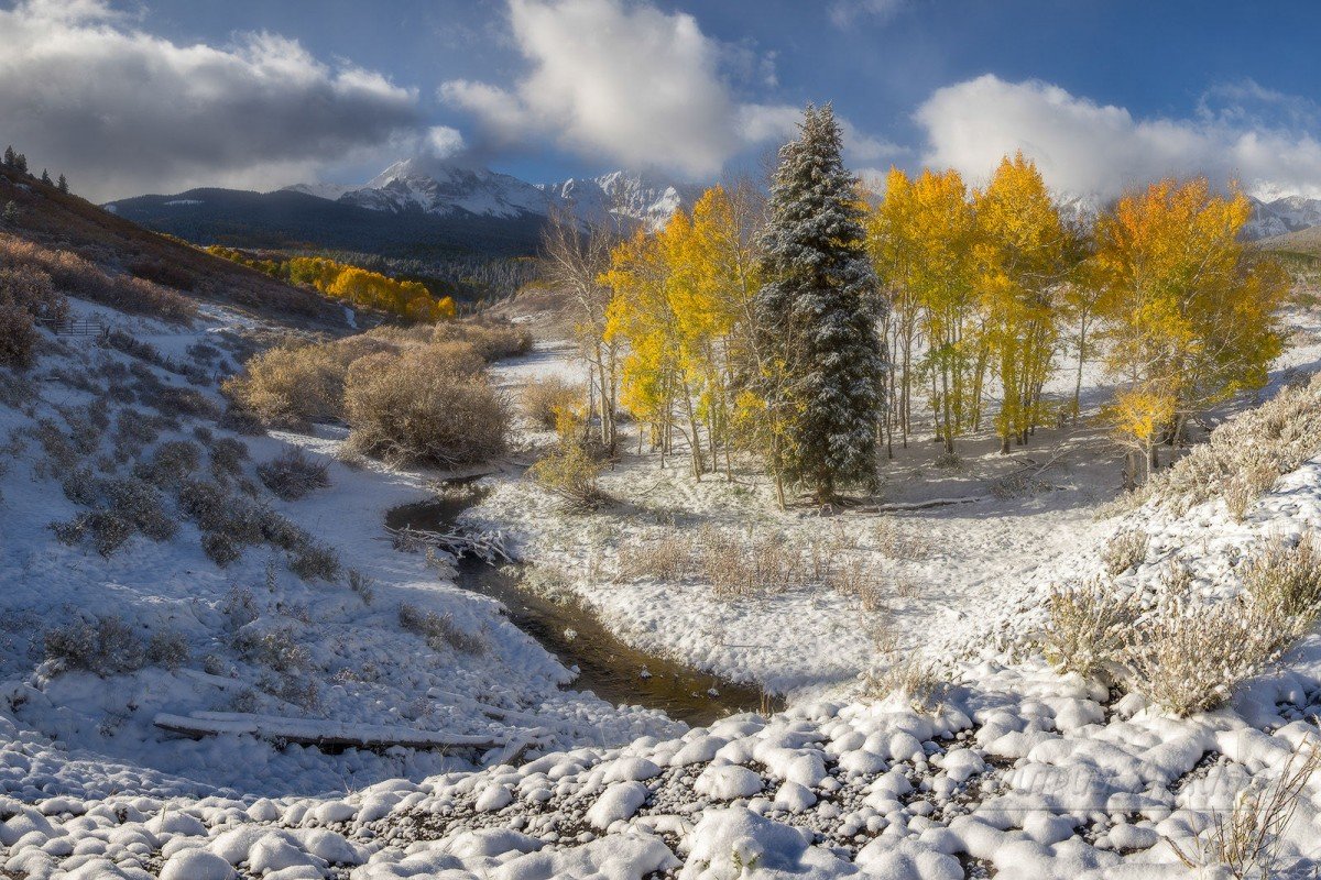 осень - оригинал