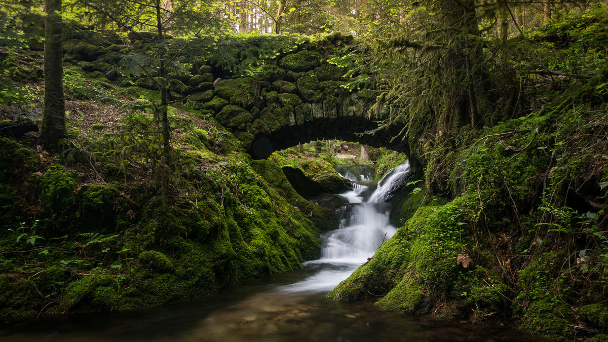 ручей в лесу - мост, лес, ручей - оригинал