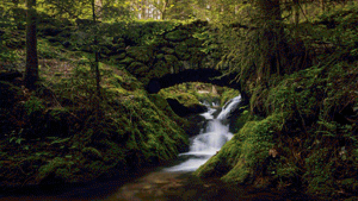 ручей в лесу - ручей, мост, лес - предпросмотр