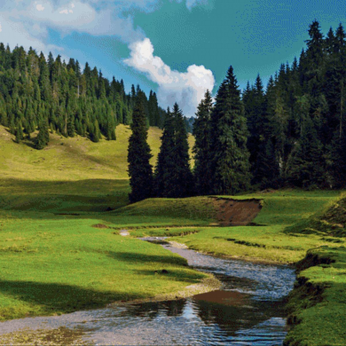 фото пейзаж - ручей, лес, пейзаж - предпросмотр