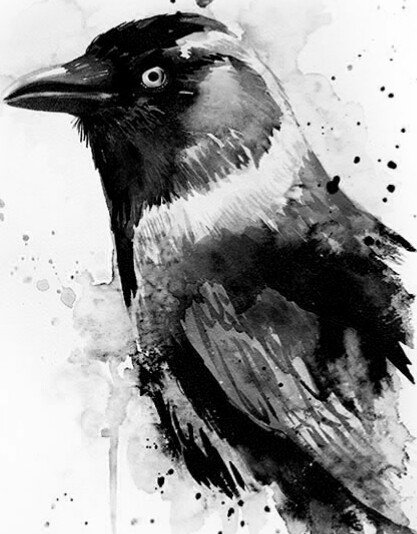 Галка - галка, птица - оригинал