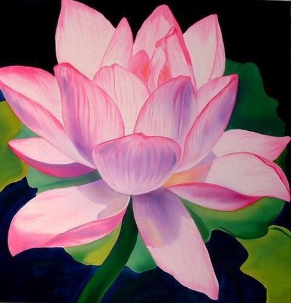 нежный лотос - цветы, лотос, цветок - оригинал