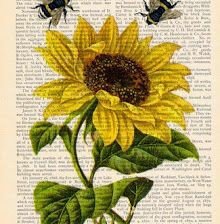 Оригинал схемы вышивки «Подсолнух 🌻 и пчёлы» (№2381844)
