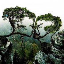 Схема вышивки «№2382005»