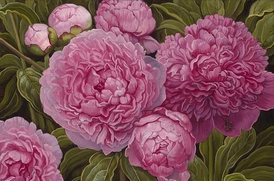 цветы - оригинал