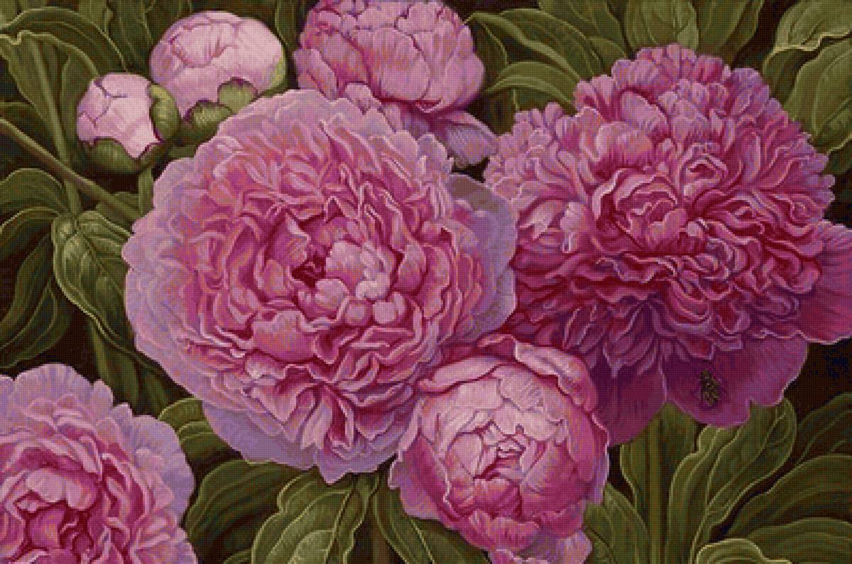 цветы - предпросмотр