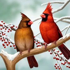 Схема вышивки «Pássaros .»