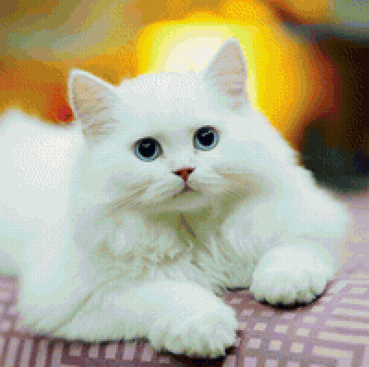 Самая красивая кошечка. Рэгдолл альбинос. Коби кэтс. Рэгдолл котята. Белый котенок.