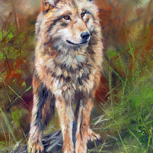 Схема вышивки «Лесной житель. Люси Билодау»