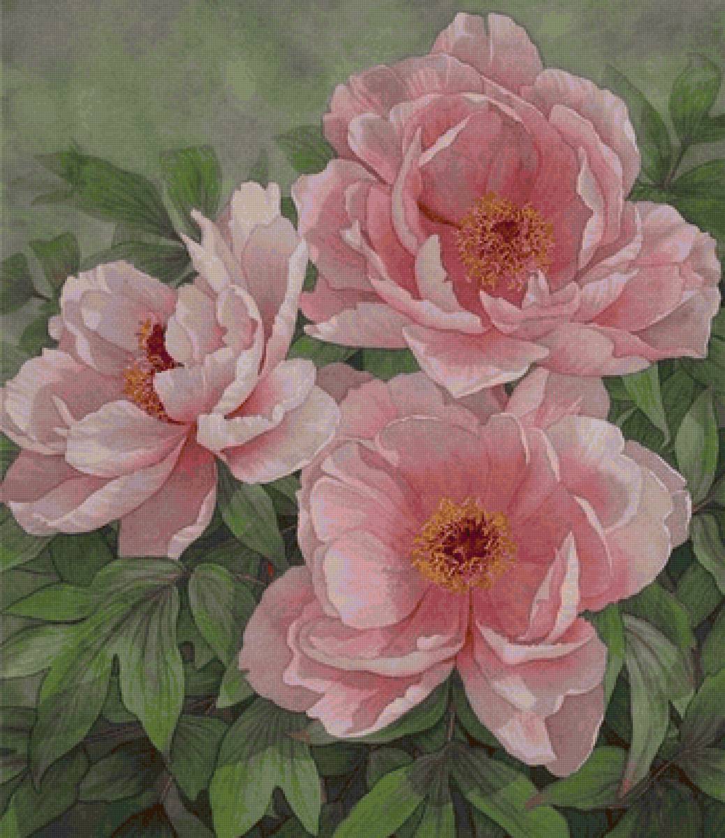 Цветы - цветы - предпросмотр