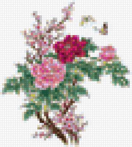 Mẫu đơn - предпросмотр