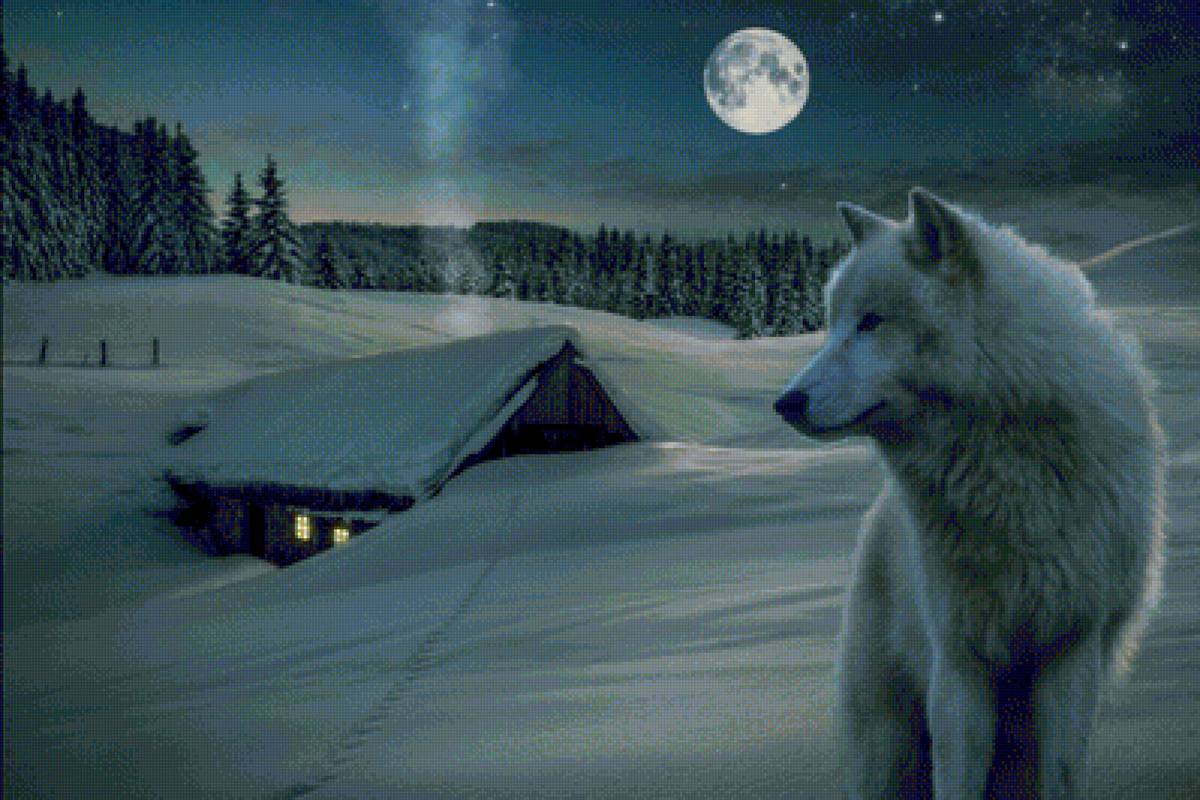 Llop - animal - предпросмотр