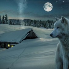 Схема вышивки «Llop»