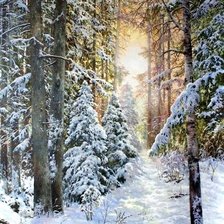 Схема вышивки «Художник Сычев Алексей Владимирович зима»