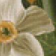 Предпросмотр схемы вышивки «цветы» (№2385918)