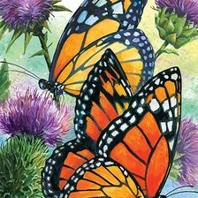 Схема вышивки «бабочки»