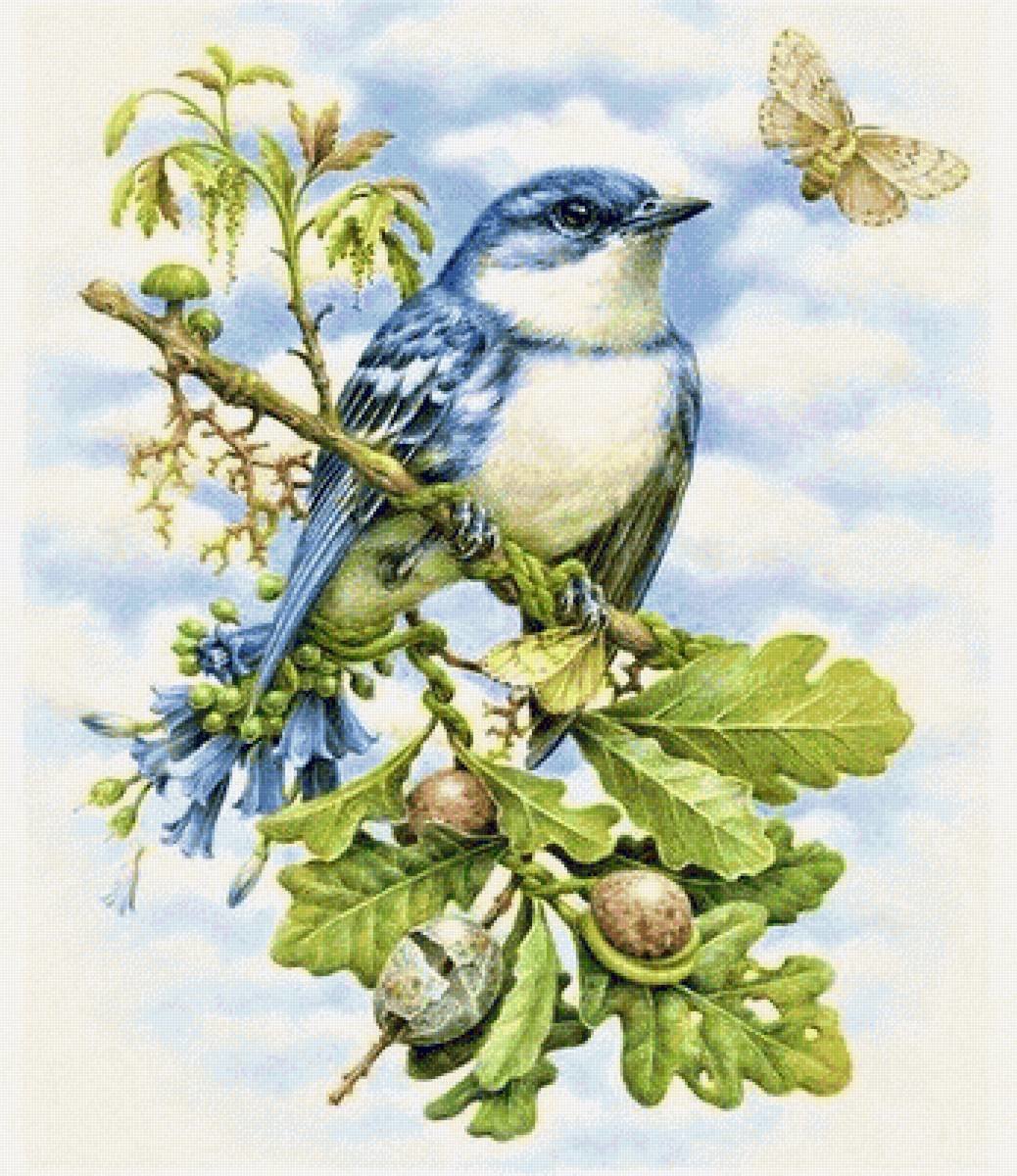 птица - оригинал