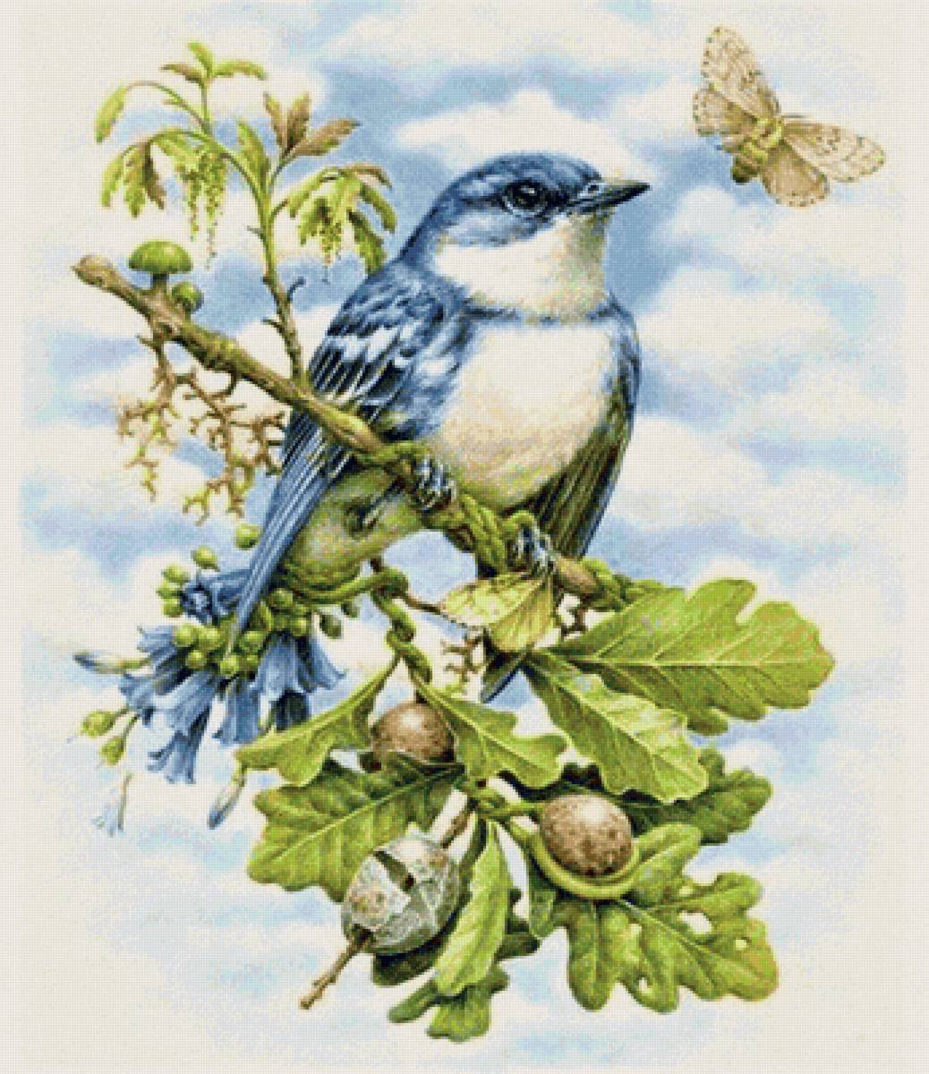 птица - предпросмотр