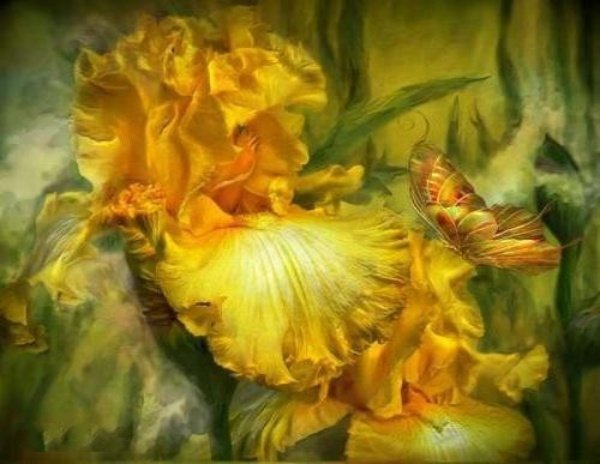 Ирисы Кэрол Каваларис - ирисы, бабочка, картина - оригинал