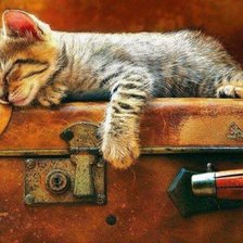 Схема вышивки «Кот»