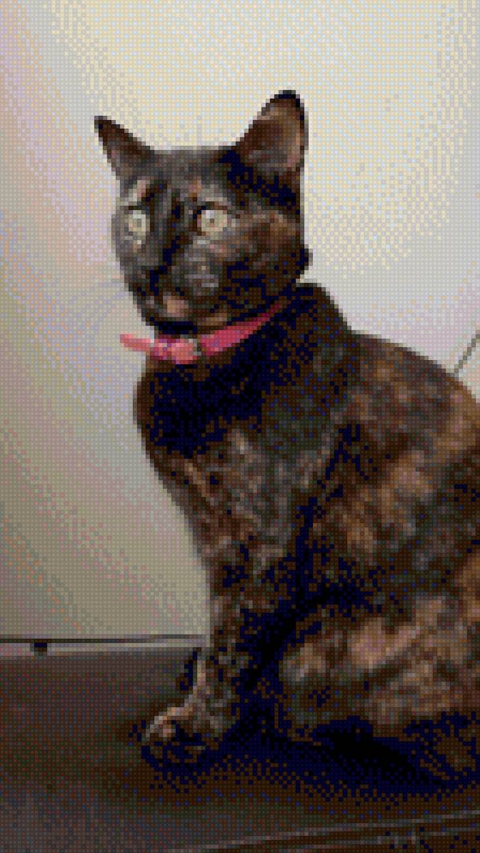 Gato carey - mariposas - предпросмотр