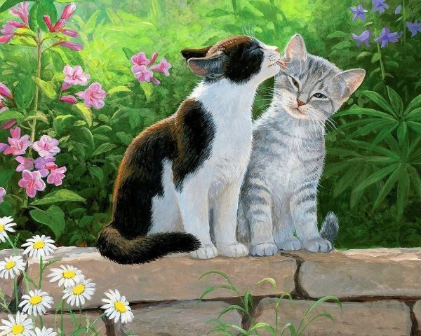Кошачья любовь - счастье, кошки, любовь - оригинал