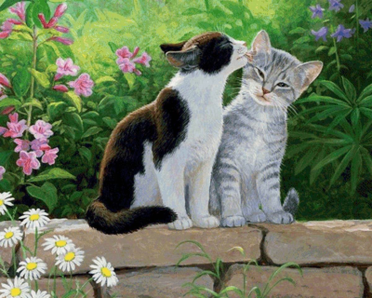 Кошачья любовь - счастье, любовь, кошки - предпросмотр