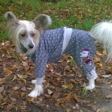 Схема вышивки «Ларри»