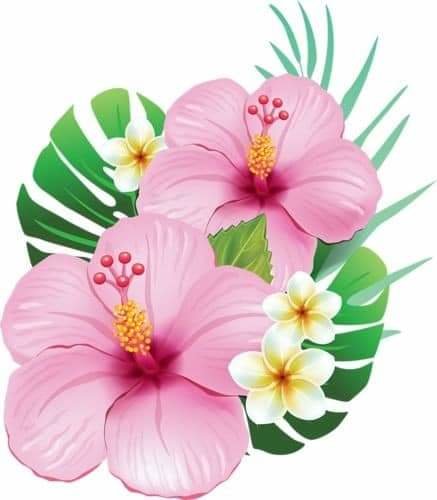 Flor - mariposas - оригинал