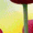 Предпросмотр схемы вышивки «Расцветший тюльпан» (№2388286)