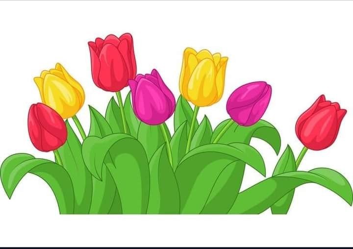 Flores - mariposas - оригинал