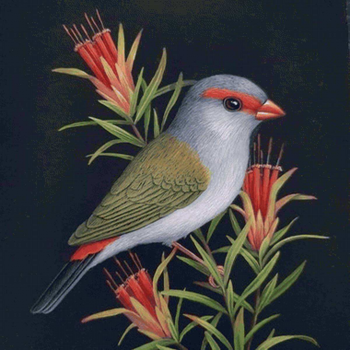 Pássaro. - pássaros. flores. - предпросмотр