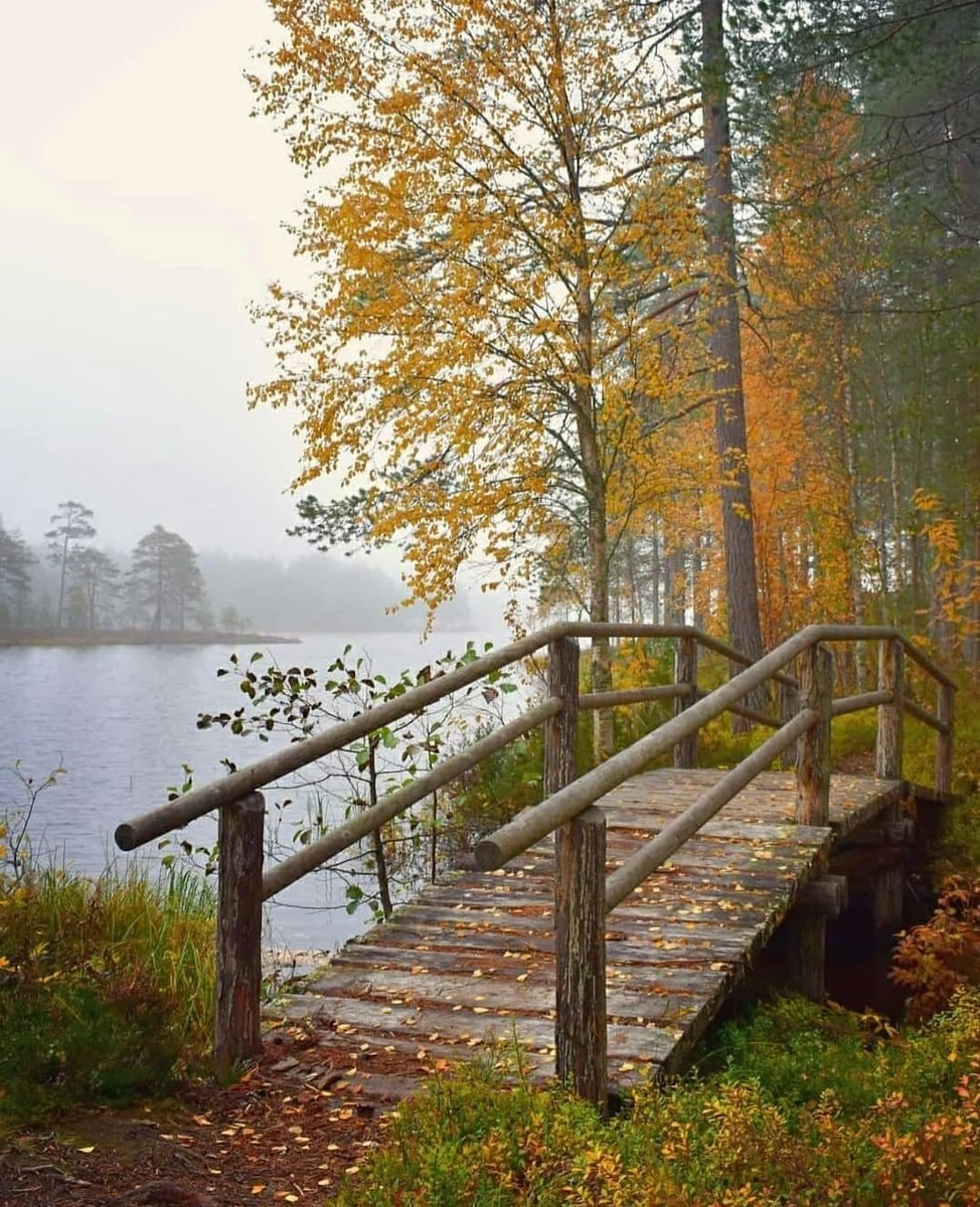 №2388506 - оригинал