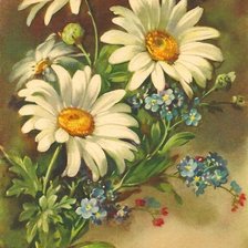 Схема вышивки «Цветы»