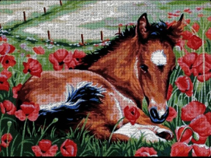 Малютка - лошади, миф - оригинал