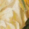 Предпросмотр схемы вышивки «цветы» (№2389323)