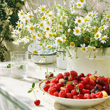 Схема вышивки «Ромашки»