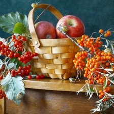 Схема вышивки «Яблоки с облепихой»