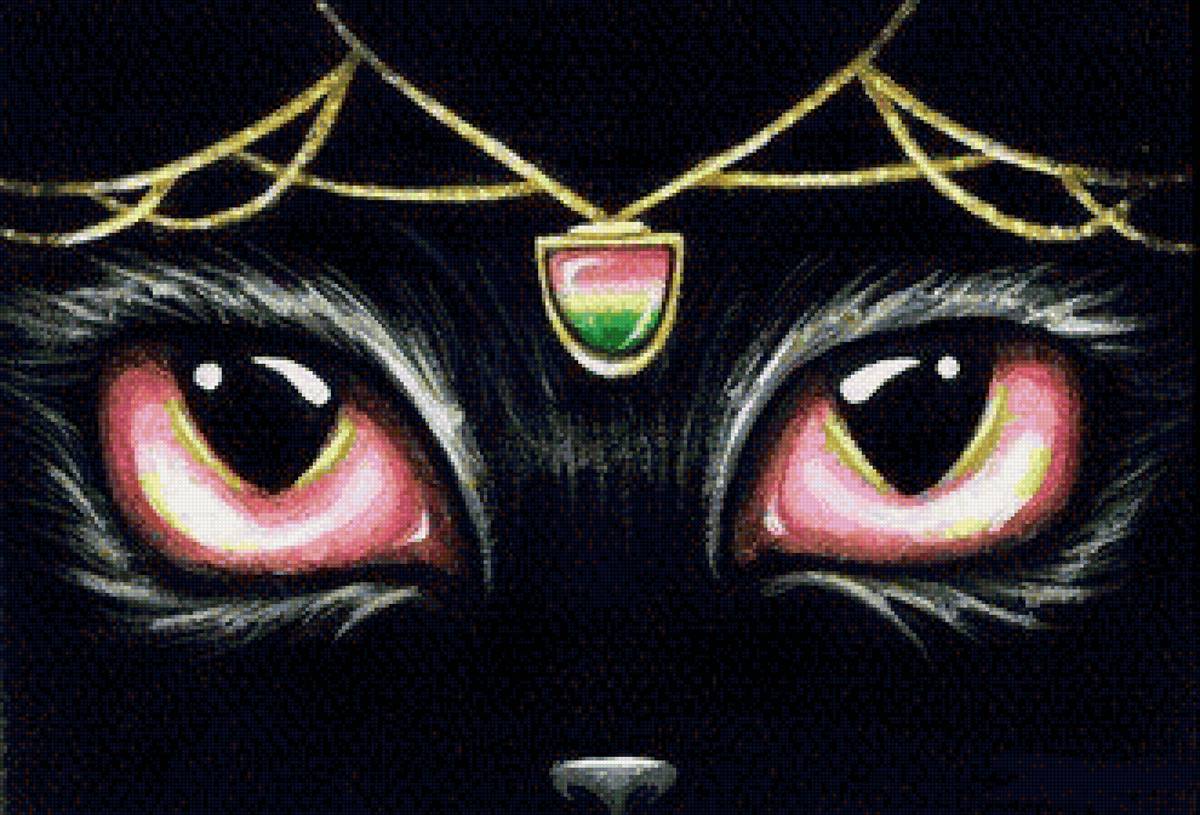 Кошачий глаз - кошка, животные, глаза - предпросмотр