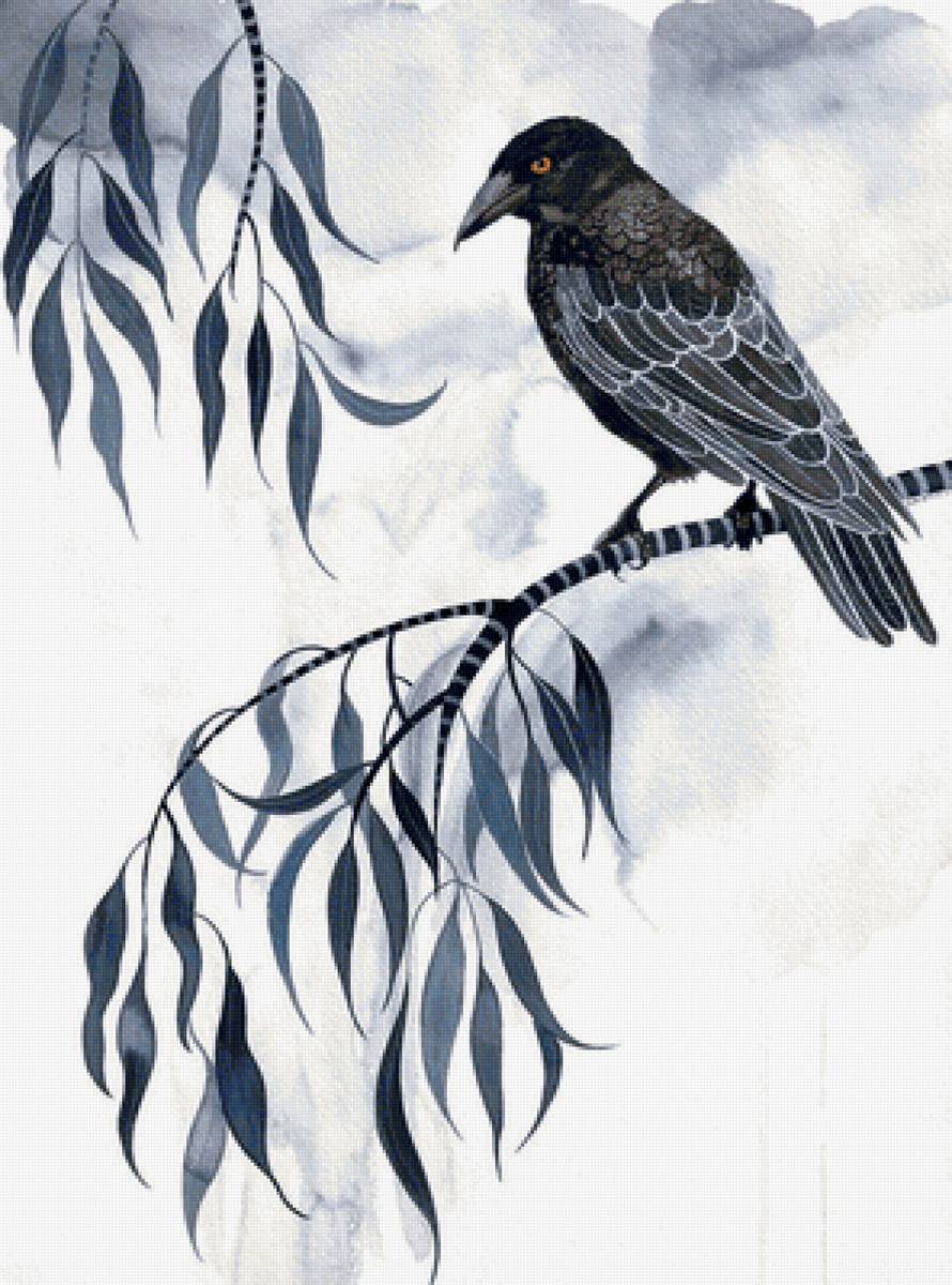 Pássaro. - pássaros. - предпросмотр