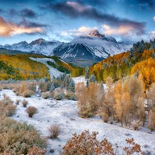 Paisagem de  inverno.