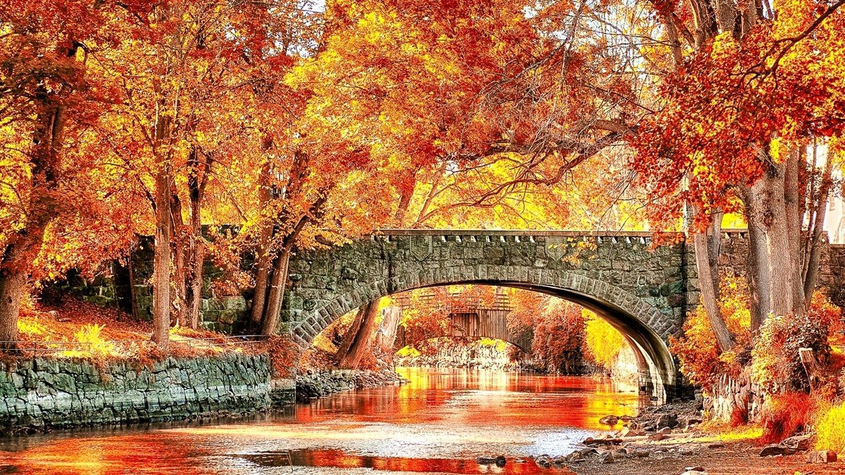 Paisagem de outono. - paisagens .arvores .outono. rio ponte .pintura. - оригинал