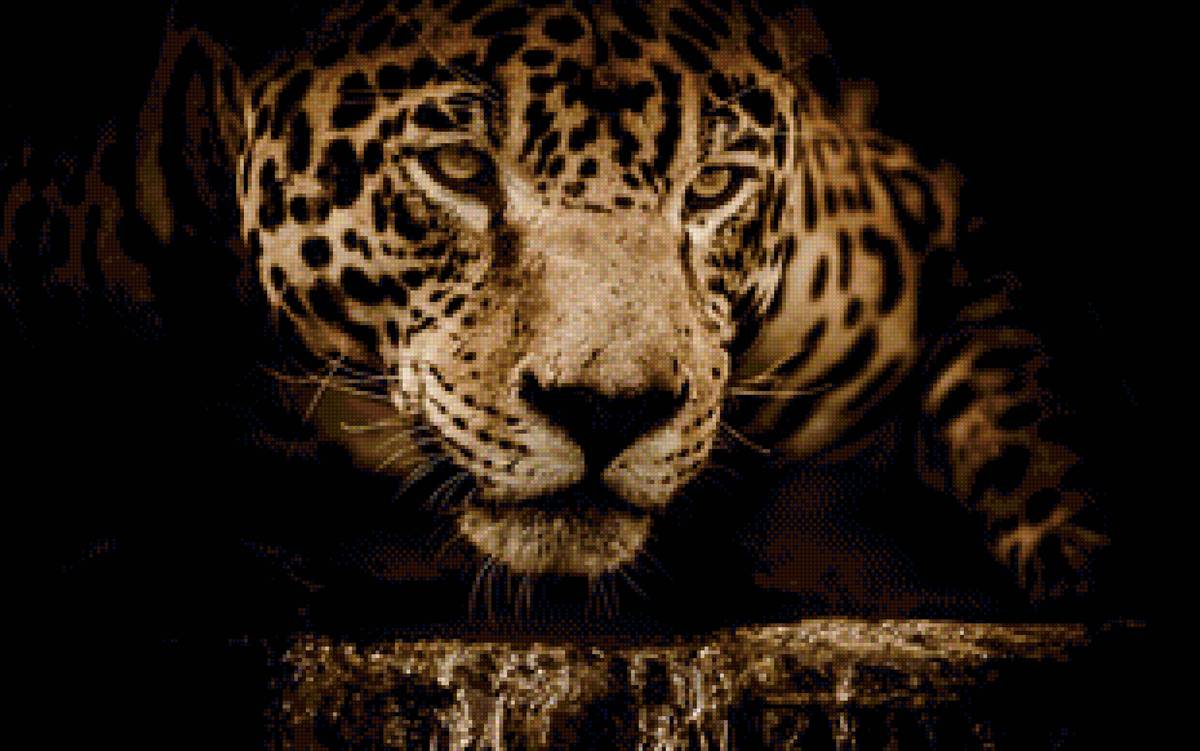 Ягуар животное - ягуар, животные, большие кошки - предпросмотр