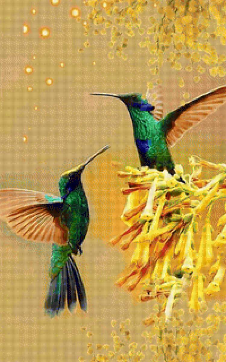 Colibri - mariposas - предпросмотр