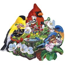 Схема вышивки «Pajaros»