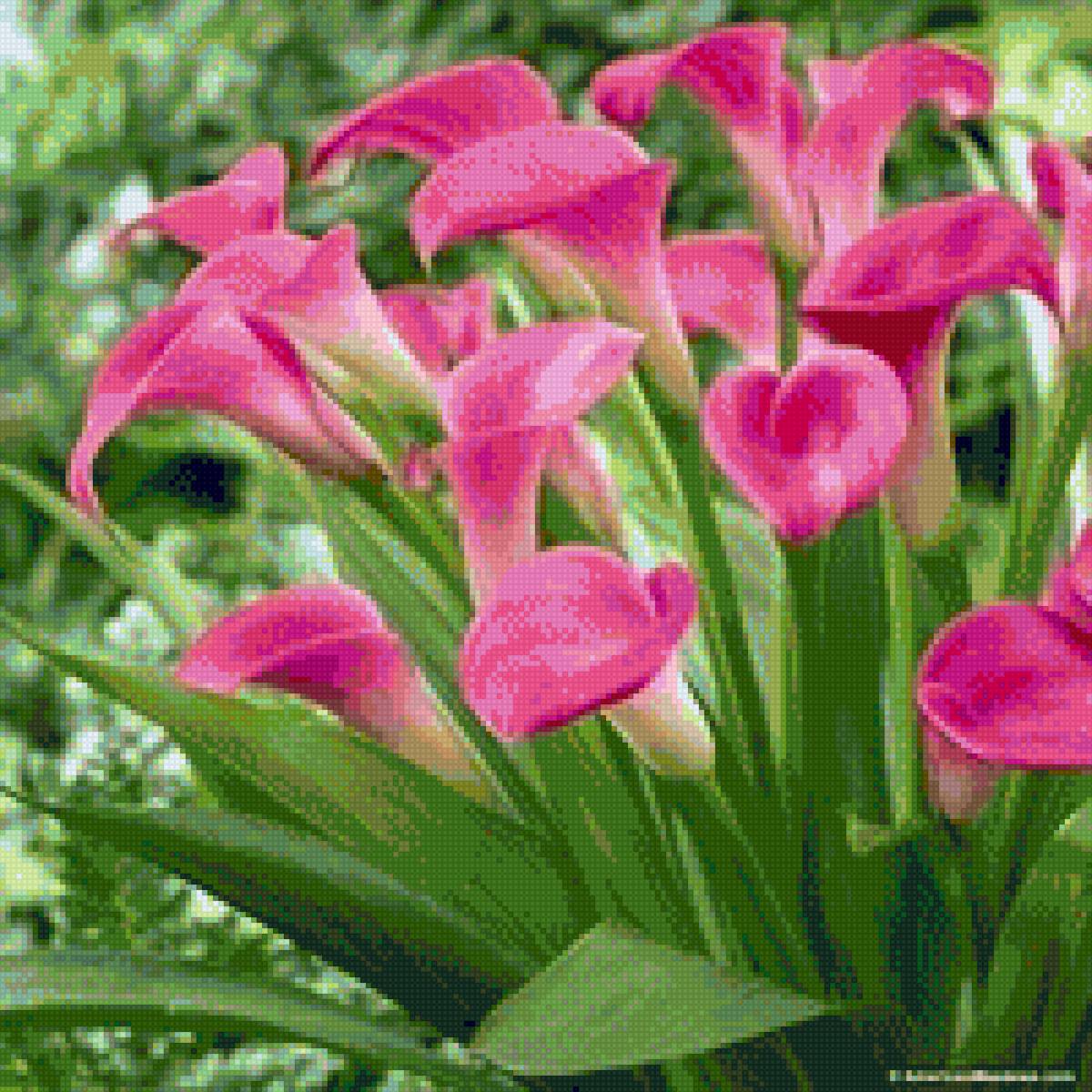 Flores - mariposas - предпросмотр