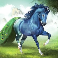 Конь павлин
